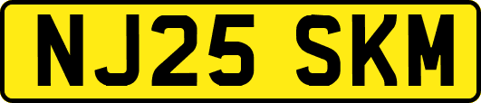 NJ25SKM