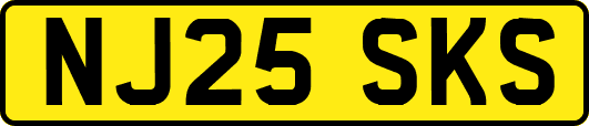 NJ25SKS
