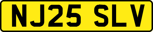 NJ25SLV