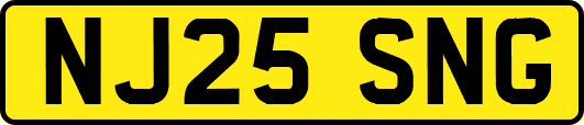 NJ25SNG