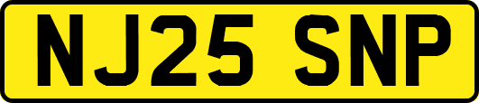 NJ25SNP
