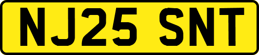 NJ25SNT