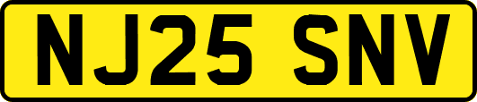 NJ25SNV