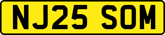 NJ25SOM