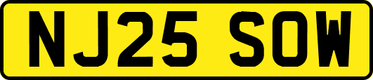 NJ25SOW