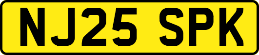 NJ25SPK