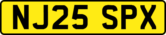 NJ25SPX