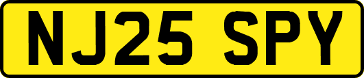 NJ25SPY