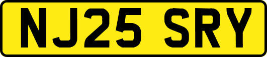NJ25SRY