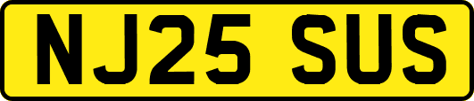 NJ25SUS
