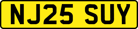 NJ25SUY