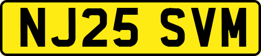 NJ25SVM