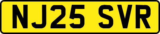 NJ25SVR