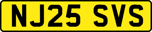 NJ25SVS