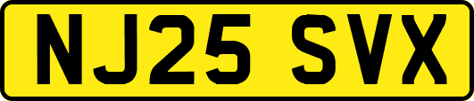 NJ25SVX