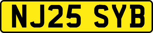 NJ25SYB