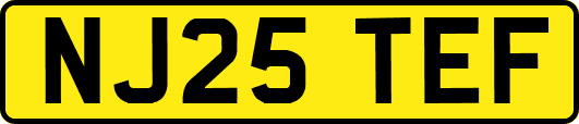 NJ25TEF