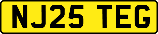 NJ25TEG