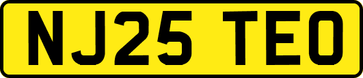 NJ25TEO