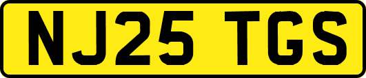 NJ25TGS