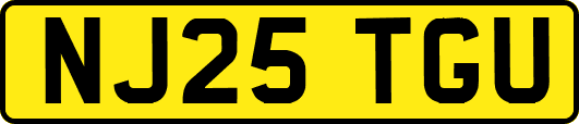 NJ25TGU