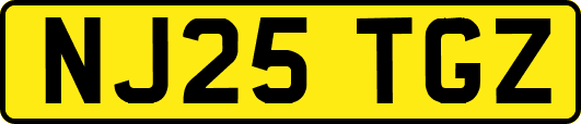 NJ25TGZ