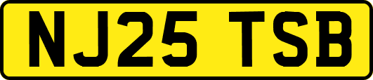 NJ25TSB