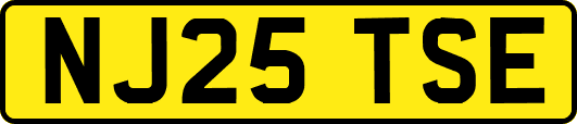 NJ25TSE