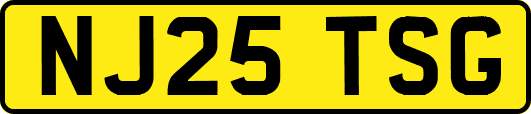 NJ25TSG