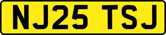 NJ25TSJ