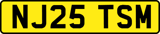 NJ25TSM