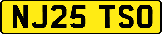 NJ25TSO