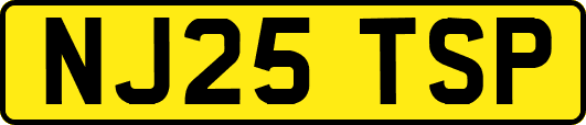 NJ25TSP