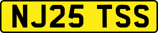 NJ25TSS