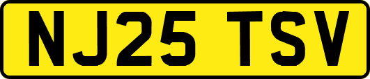 NJ25TSV