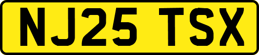 NJ25TSX