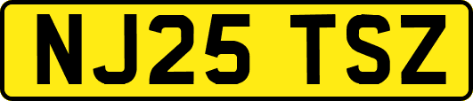 NJ25TSZ