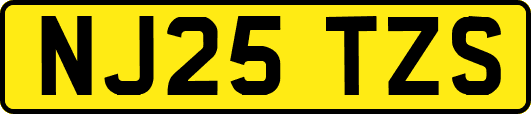 NJ25TZS