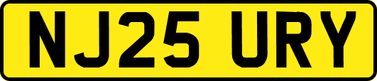 NJ25URY