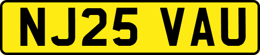 NJ25VAU