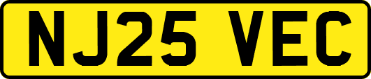 NJ25VEC