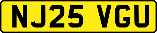 NJ25VGU