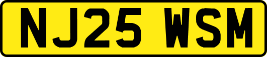 NJ25WSM