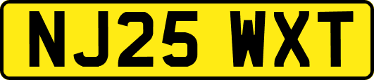 NJ25WXT