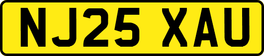 NJ25XAU