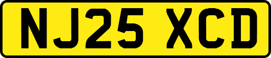 NJ25XCD