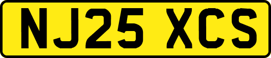 NJ25XCS