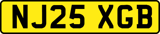NJ25XGB