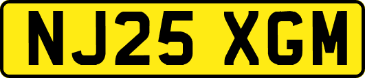 NJ25XGM