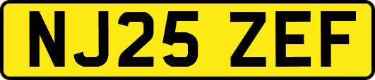 NJ25ZEF